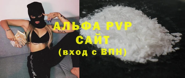 стафф Алзамай