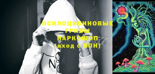стафф Алзамай