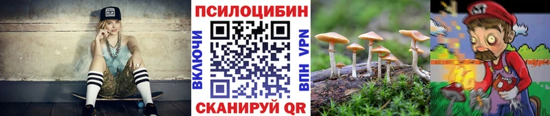 omg tor  где найти   Багратионовск  сайты даркнета формула  Галлюциногенные грибы прущие грибы 